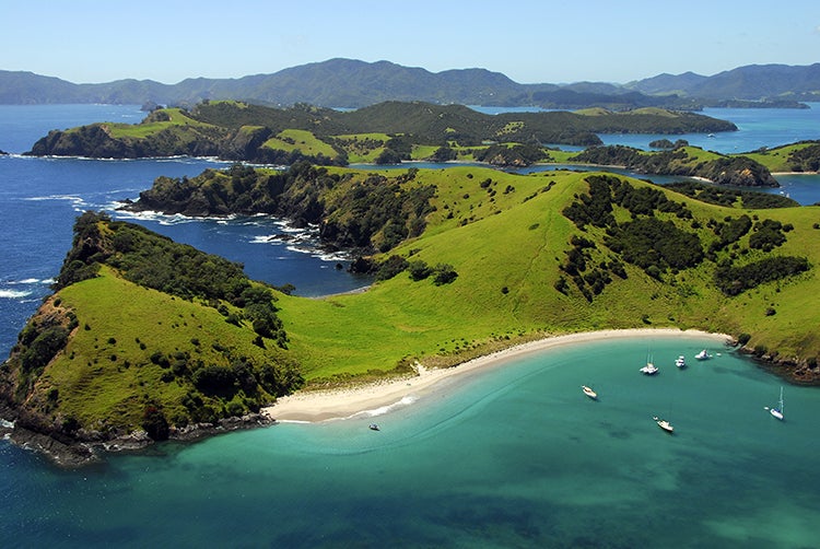 study in new zealand 